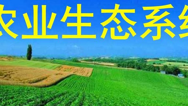 生鲜冷链物流方案：优缺点解析