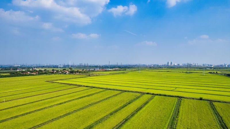 农产品配送系统：规格参数解析与选型要点**