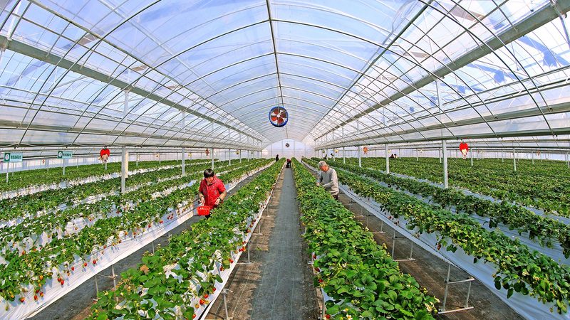 行业现状：一站式采购的兴起
