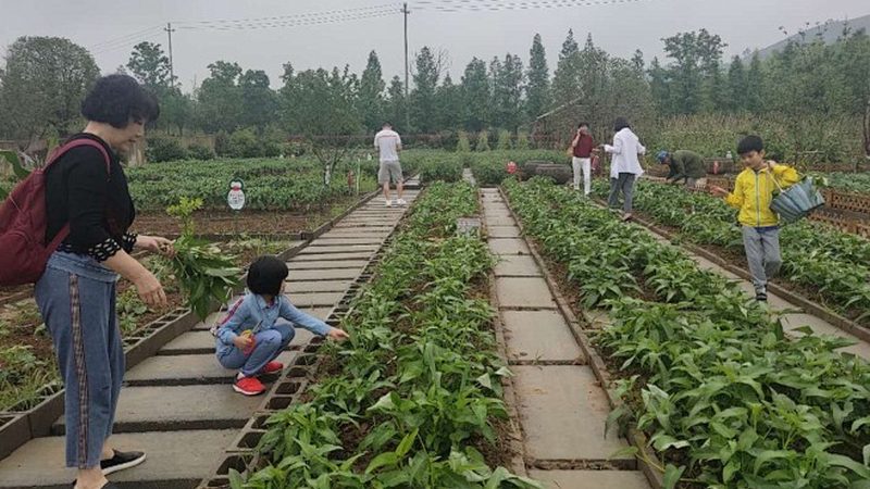 在签订合同前，要仔细阅读合同条款，确保以下几点：