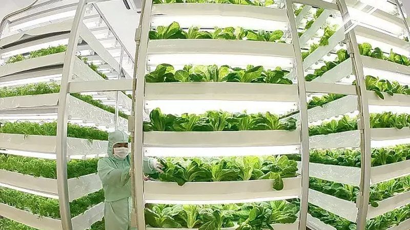 有机农业种植技术教程：视频下载指南**