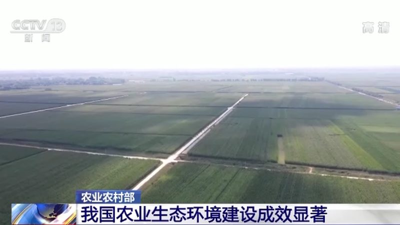 农业项目招标：如何选择合适的合作伙伴**