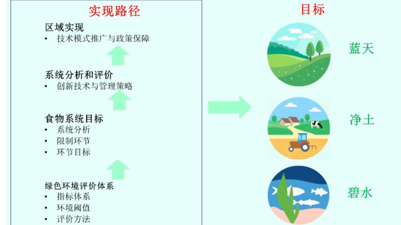 城市农业：如何打造高效生态种植模式**
