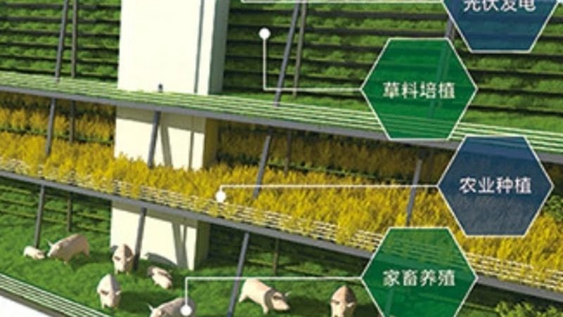 农业产业园灌溉系统镀锌管：如何选择合适的产品？**
