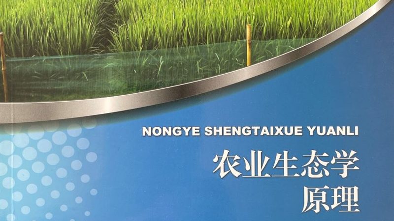 粮食种植与蔬菜种植：本质区别与关键要点