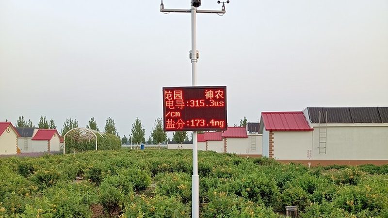 河南农田无人机打药，成本与效益的权衡之道**