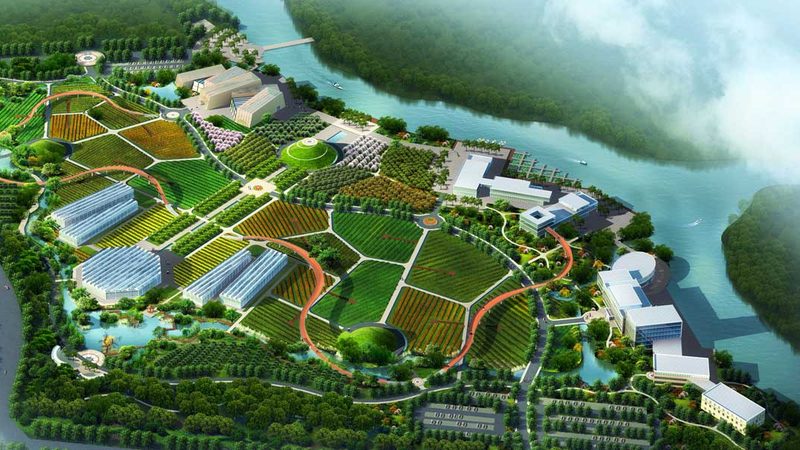 大豆种植土壤要求：土壤健康是产量的基石