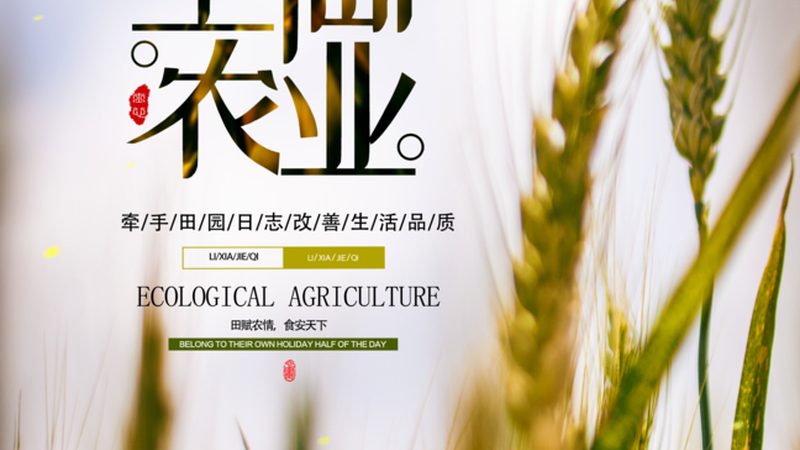 北京合作社代理记账多少钱